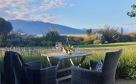 Dunluce Boutique B&B